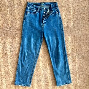 Wild Fable Highest Rise Straight Jeans